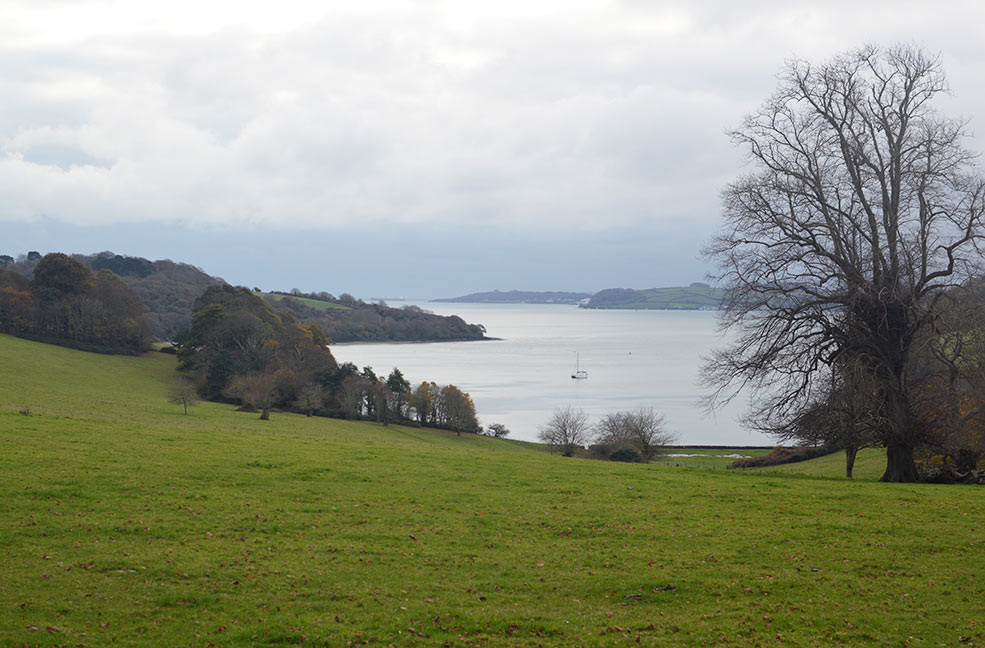 Trelissick estate has a formal garden that is kept and cultivated but also has some lovely fields that sit along the Carrick roads near Falmouth.