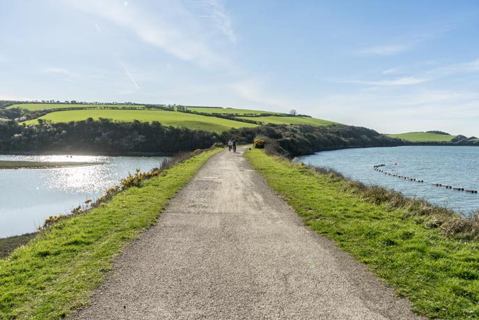 The Camel Trail, North Cornwall