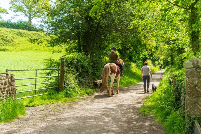 A horse rider and dog walker on the Clay Trail in South Cornwall
