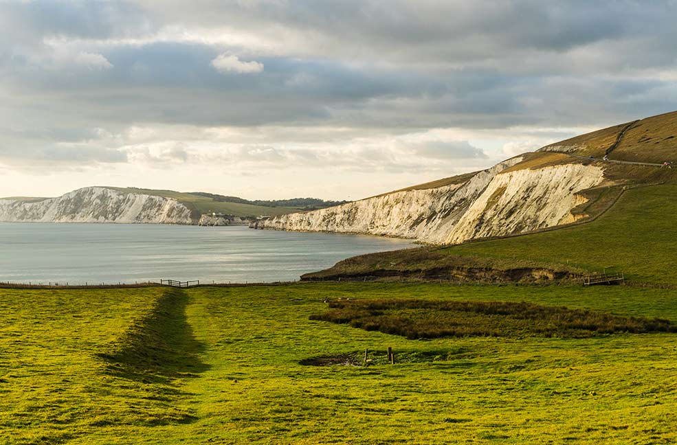 Tennyson Downs