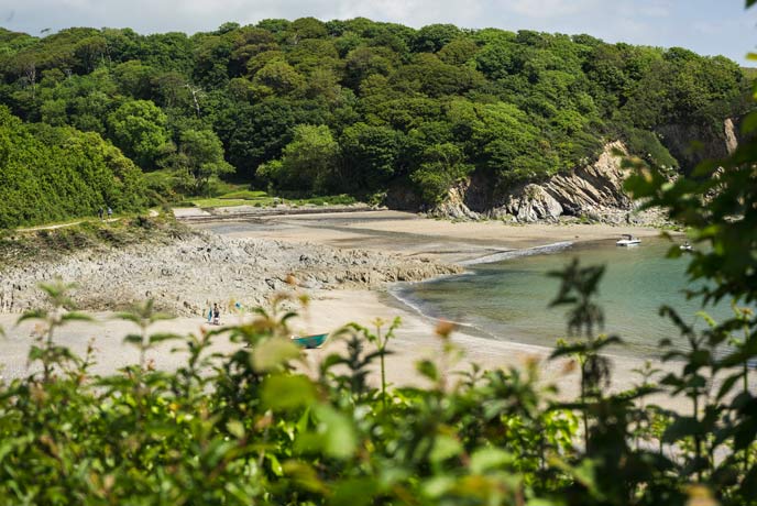 Walk down to Polridmouth from the car park near Menabilly.