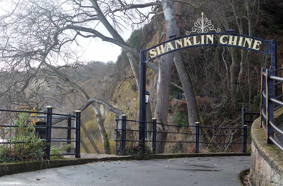 Shanklin Chine is a beautiful home of the Isle of Wight's red squirrels.