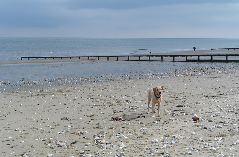 Shanklin beach on a sunny day