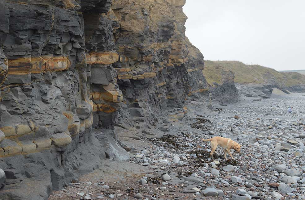 Kilve Beach has lots of hidden fossils in the cliffs and the pebbles underfoot.