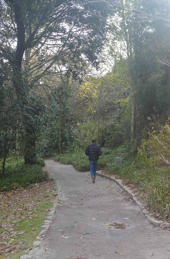 Path walks in Trelissick gardens in Cornwall