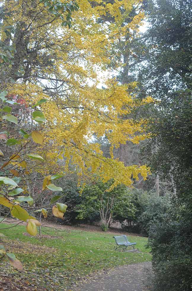 A landscape view at Trelissick gardens in Cornwall