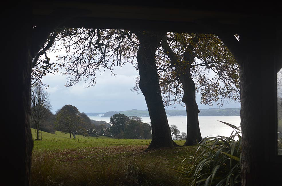 A view through the woods at Trelissick gardens in Cornwall