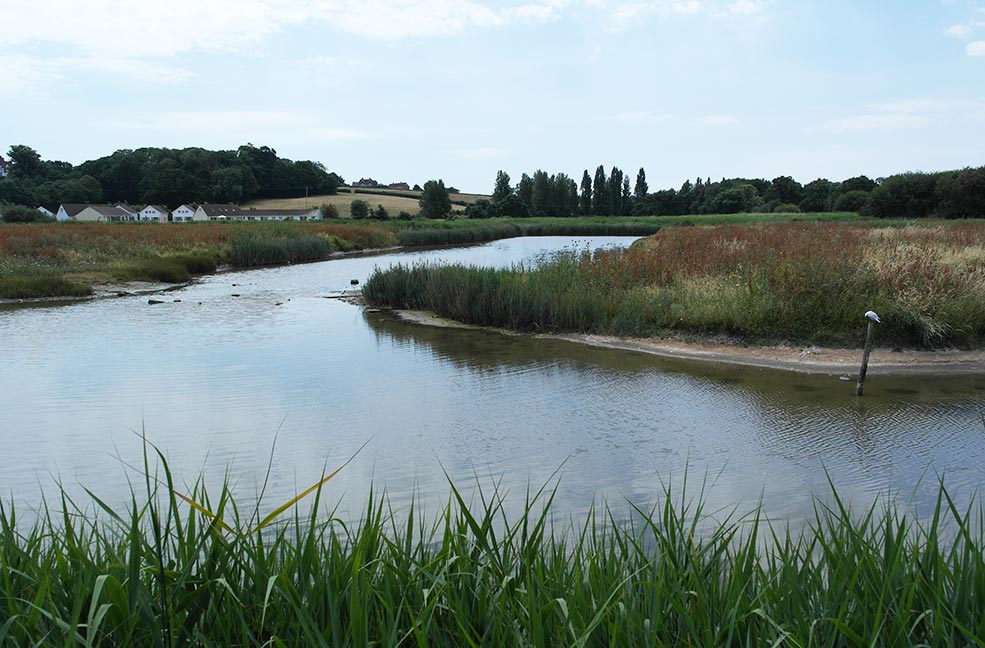 Hersey Nature Reserve in summer