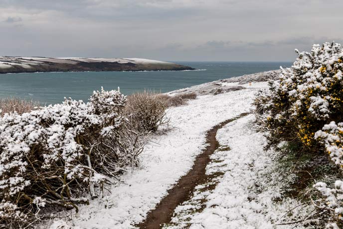 Snowy coastal path, Pentire, Newquay