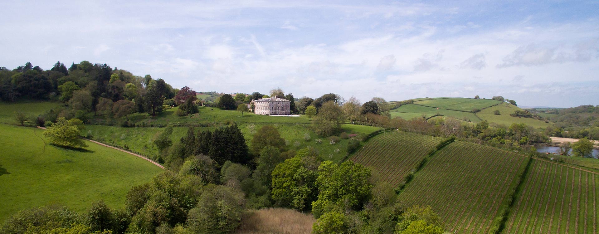 Sharpham Estate Vineyard