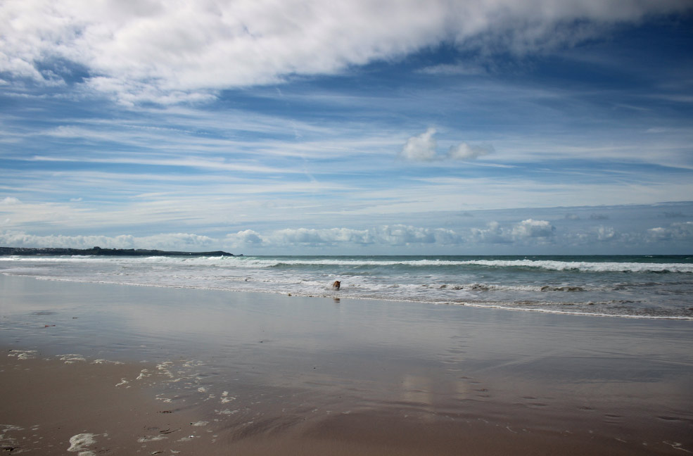 Dogs love to race through the waves while you can sit back and enjoy the sunshine.