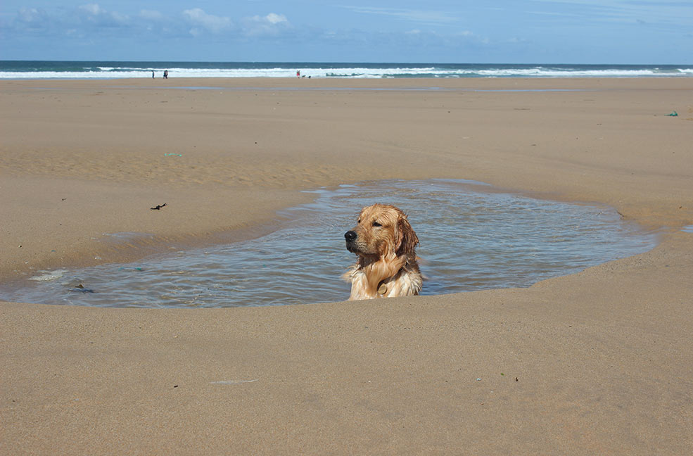 Watergate Bay Beach Review Holidays In Cornwall