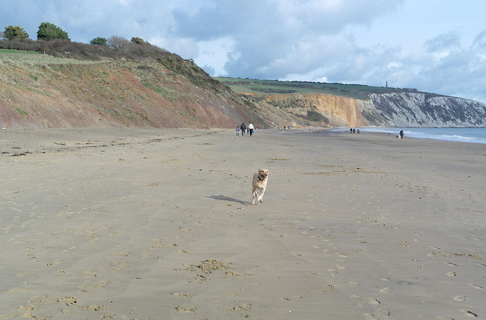 Dog friendly beach Isle of Wight