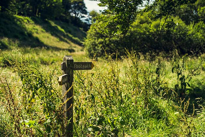 Cycling through the undulating hills of Exmoor National Park.