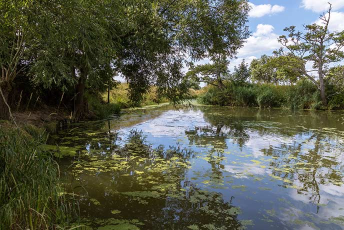 Relax by the water in the Somerset Levels.