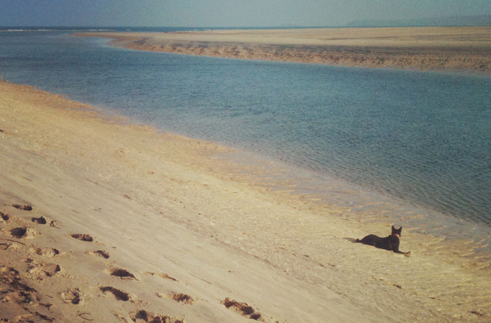 Porthkidney Sands by H Spurway