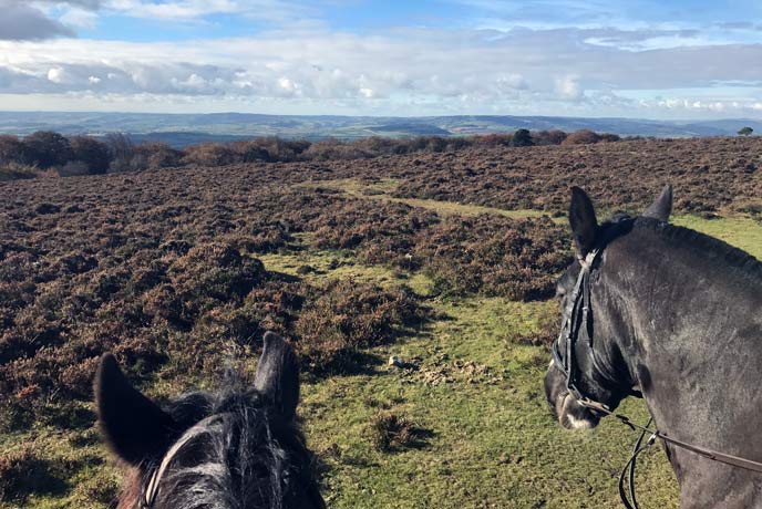 The views over the Quantock hills on a pony trek