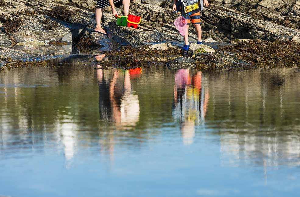 Rockpooling in Cornwall