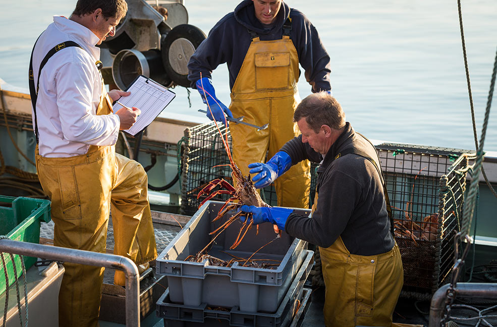 Bringing in the catch of the day to Newlyn ready to be sold at Newlyn Fish Market.