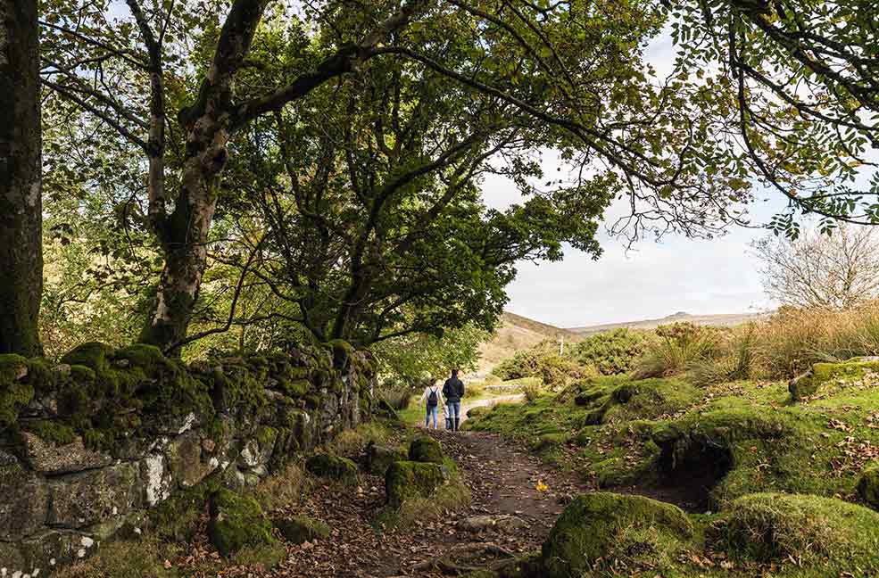 Walking on Dartmoor is a great way to spend an afternoon outside.