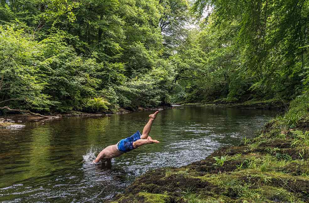 There are so many rivers and woods to discover. This is Hembury wood in Devon.