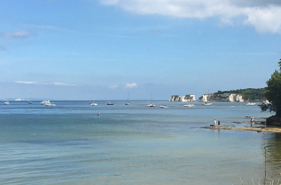 Admire the protected nature reserves at Studland.