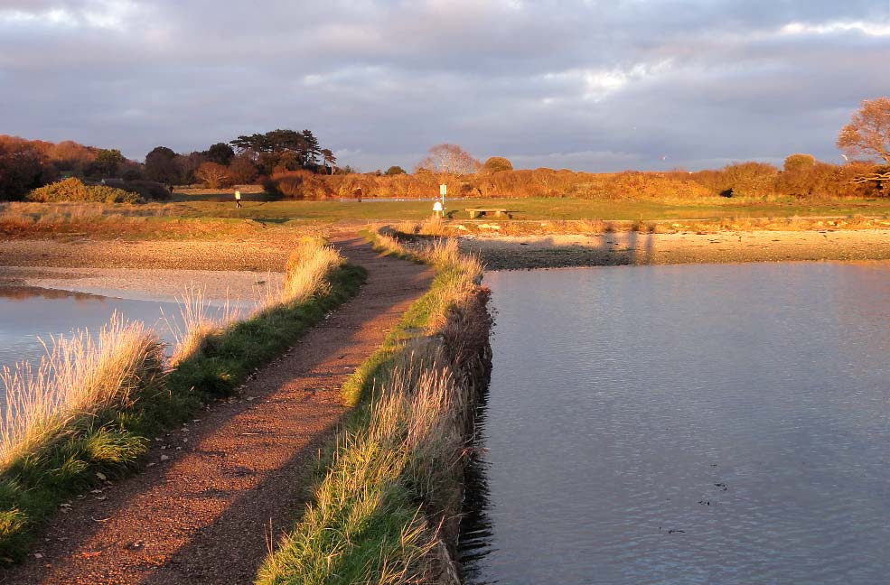 Island Harbour walks