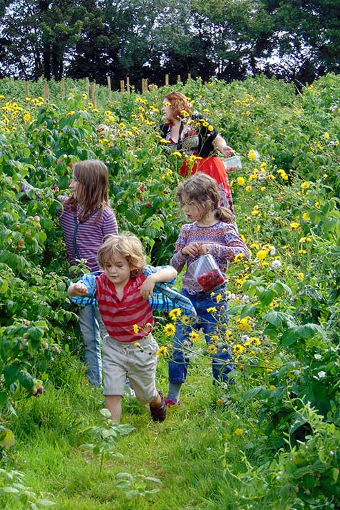 Go fruit picking with all the family this spring and summer.