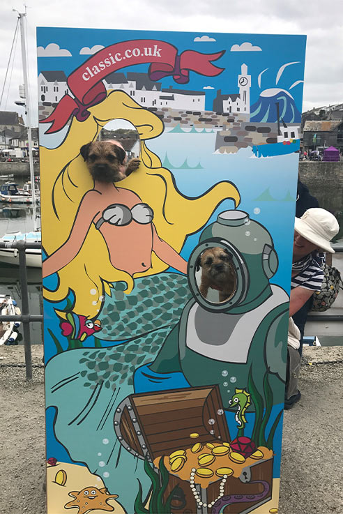 The Classic Cottages peep board at Porthleven Food and Music Festival