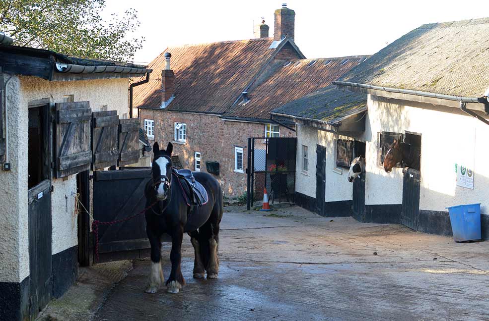 Quantock trekking stables in West Bagborough, Somerset.