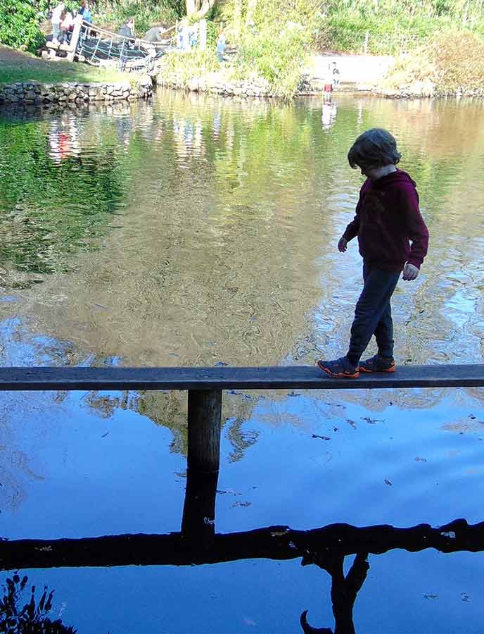 Peaceful waterside scenes make up most of River Dart Country Park.