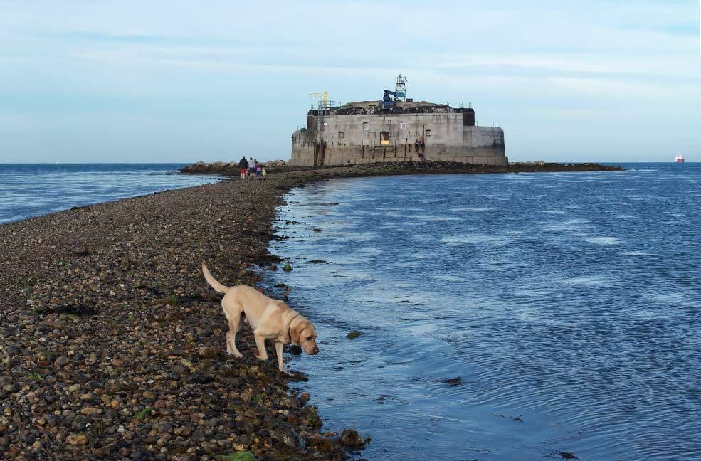 Nigel the dog loved playing in the sea as we walked to St Helens Fort and back to the shore.