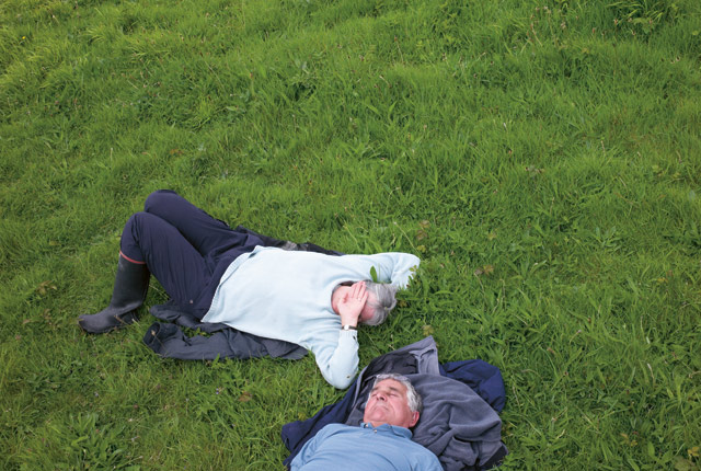 Lawnsurfing