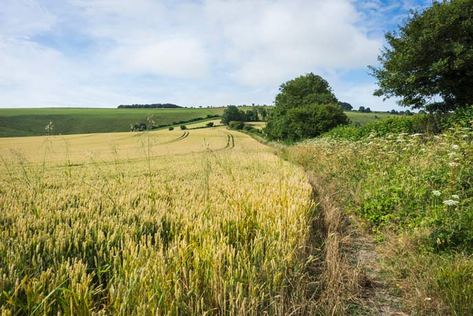 Tolpuddle in Dorset