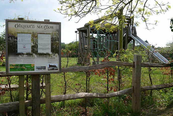 Orchard Meadow play area in Tolpuddle