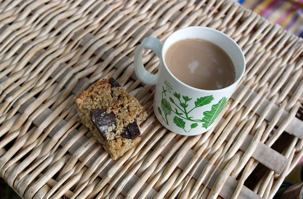 Tasty flapjack and a cup of tea to end our tree climbing session on the Isle of Wight.