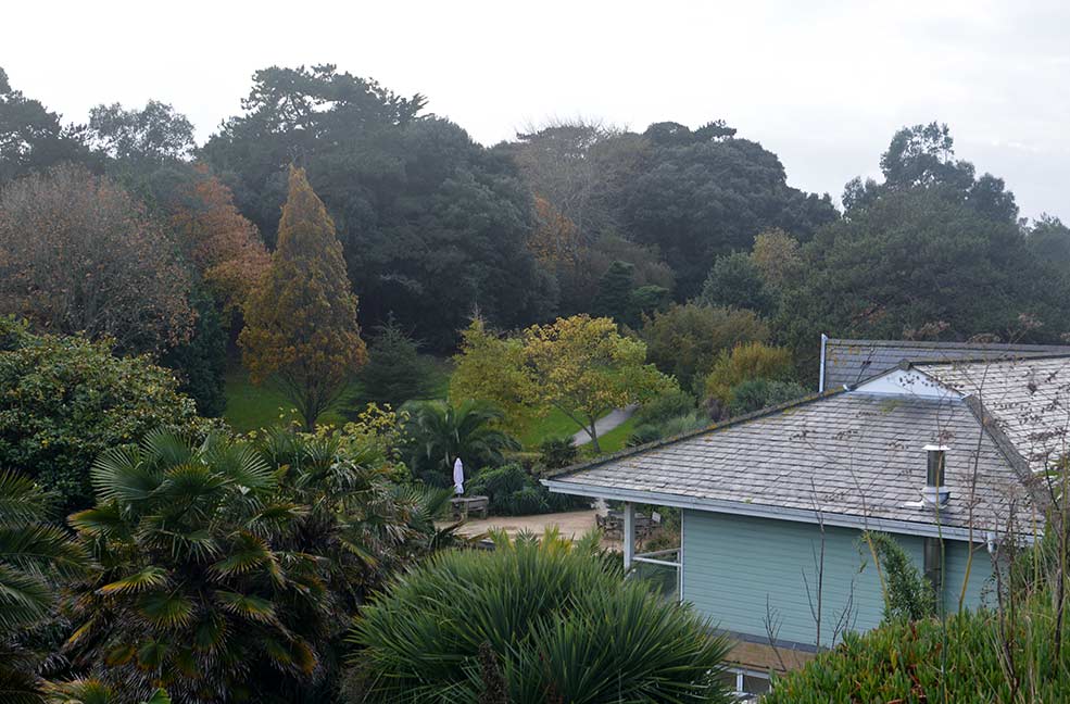 The view across the lush green garden from the cafe's terrace.