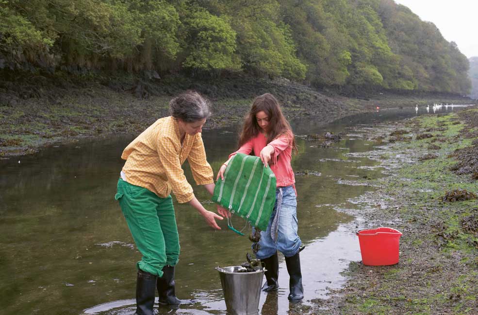 'Alive, alive oh', up a creek, Helford, south west Cornwall