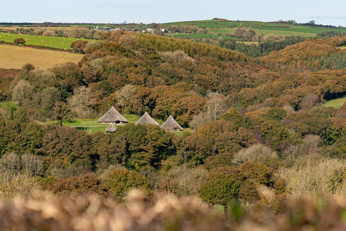 Woodland walks in Pembrokeshire