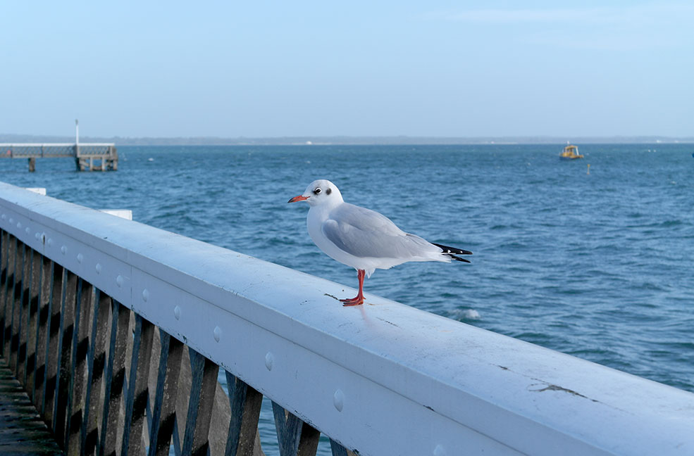 Yarmouth pier