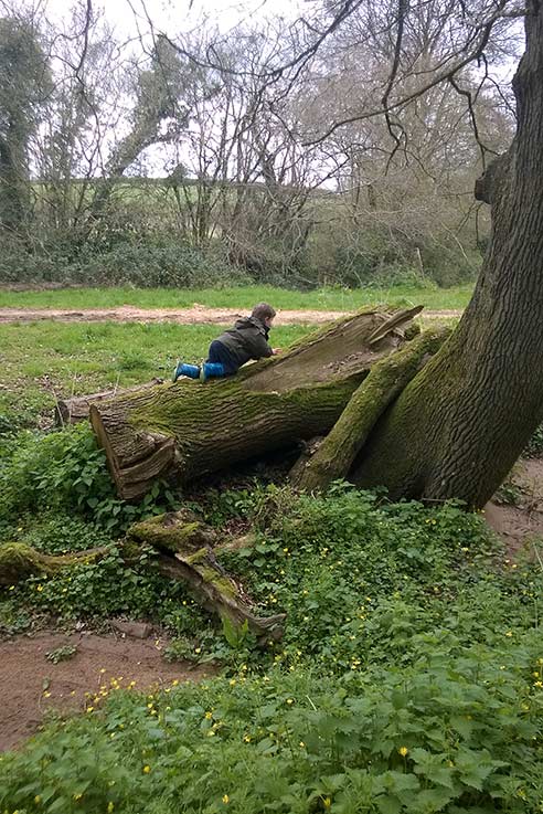 Benji getting to grips with nature