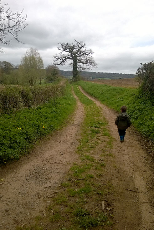 Exploring the local lanes