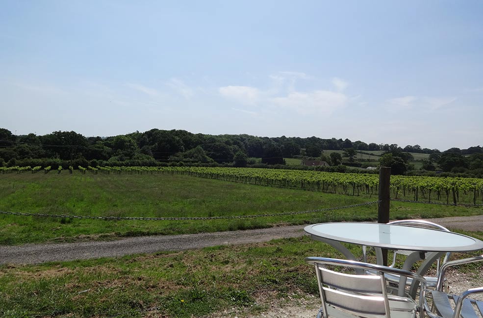 Stop for a while and watch the world pass by in this peaceful vineyard on the Isle of Wight.