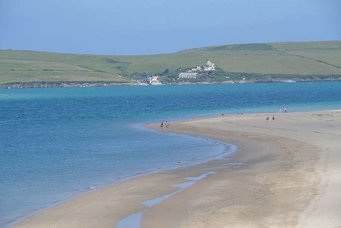 Dogs are now free to explore the golden sands at Rock.