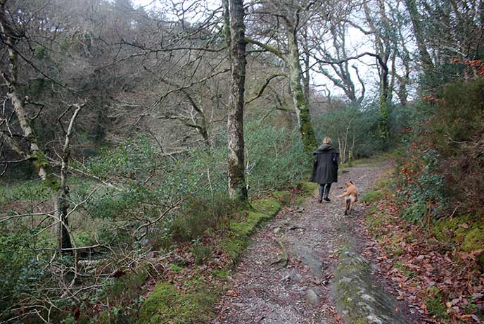 As the trees begin to turn, autumn colours make Cornwall even more beautiful.