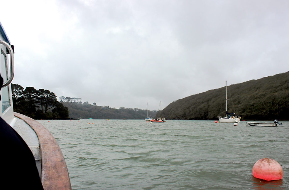 Helford boat trip