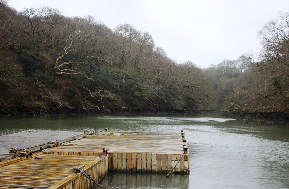 Helford river boat trip