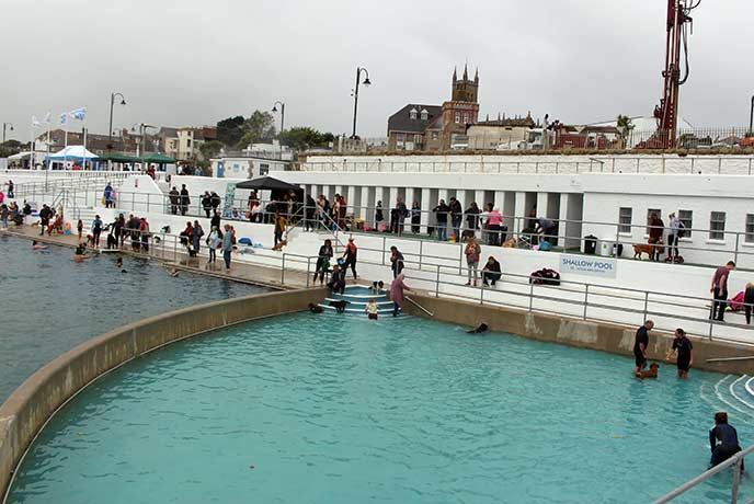 Jubilee Pool in Penzance was filled with dogs for their annual dog day.