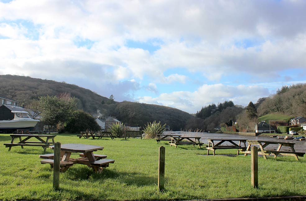 Lerryn Village green