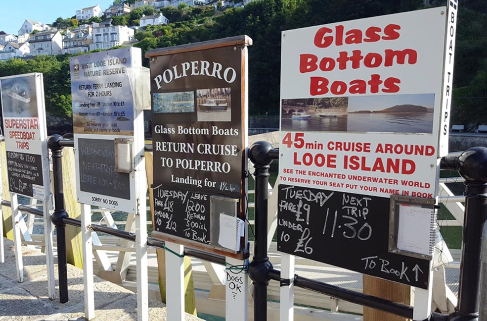 Boat trips to Looe island